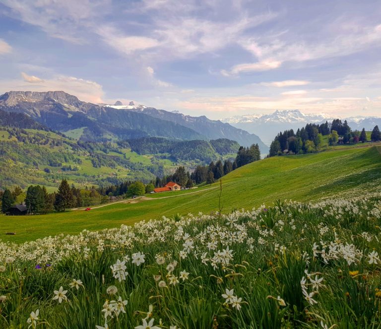 Nos randonnées préférées au départ de Lausanne