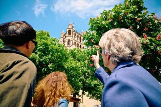Public guided tour: Treasures of the city